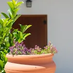 Konukevi άλυσσος 3*