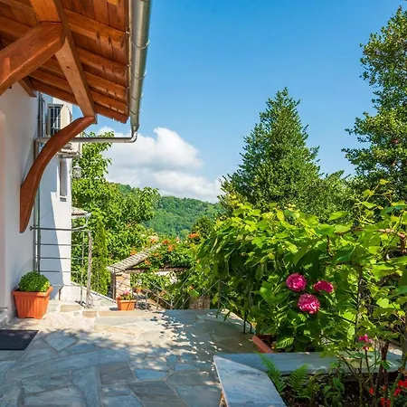 άλυσσος Tsagkarada