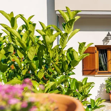 άλυσσος 3* Tsagkarada