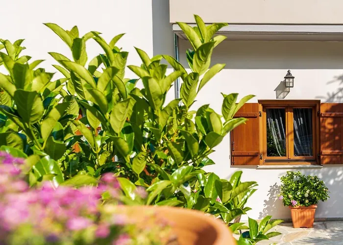 άλυσσος 3* ツァガラダ